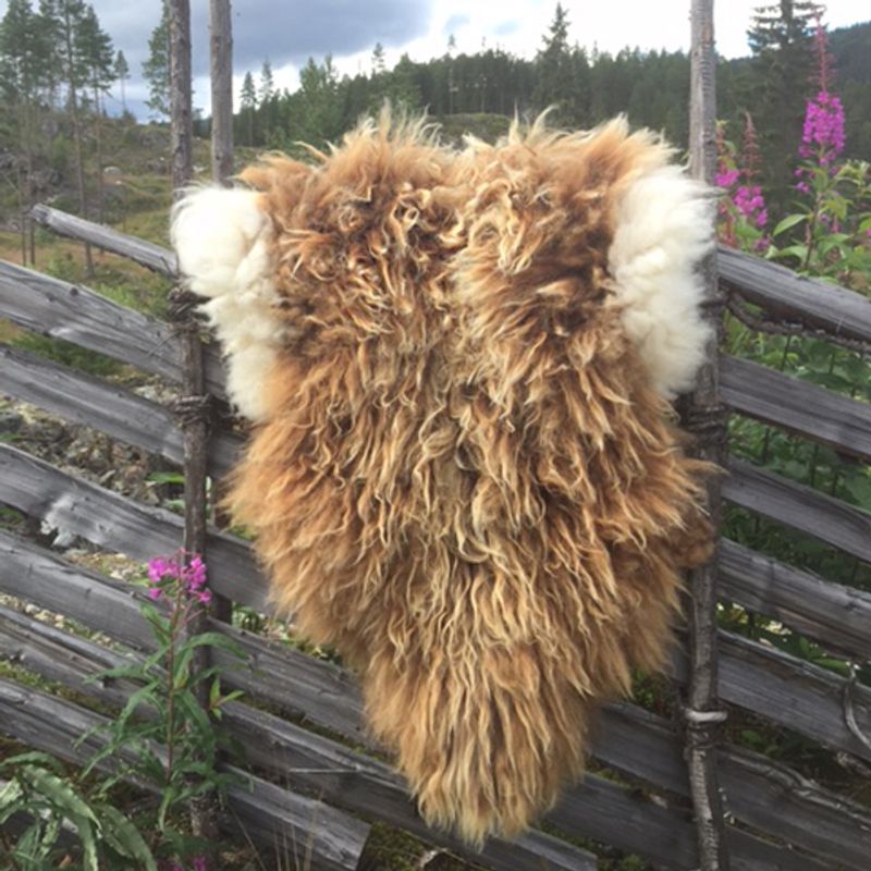 Saueskinn av spelsau, langhåret